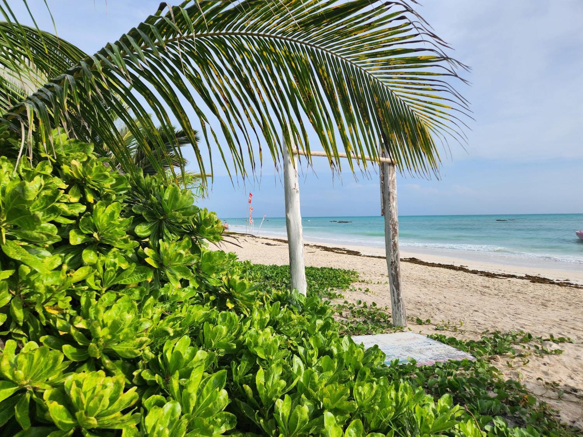 Two Palms Hotel Jambiani  Luaran gambar