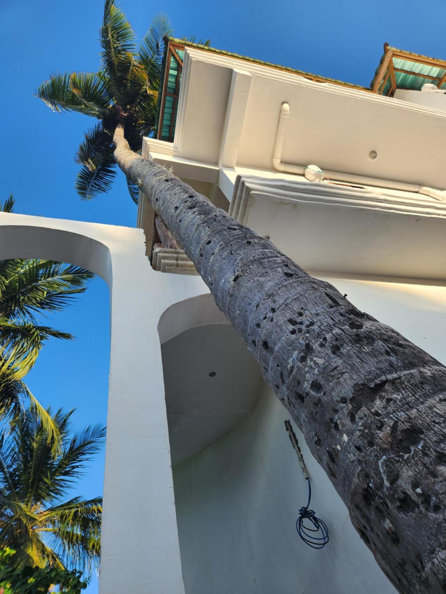 Two Palms Hotel Jambiani  Luaran gambar